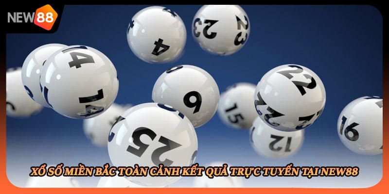Xổ Số Miền Bắc Toàn Cảnh Kết Quả Trực Tuyến Tại New88